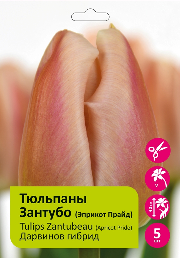 Дистанционный фиксатор (BIC-120) 12400021