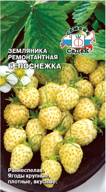 Земляника Белоснежка 0,04гр СеДеК
