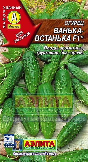 Тыква Гитара мускатная 1гр Аэлита цв