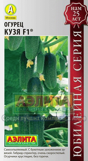 Редис Ажур 2гр Аэлита цв