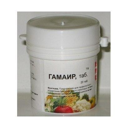 ГАМАИР таб 20 шт