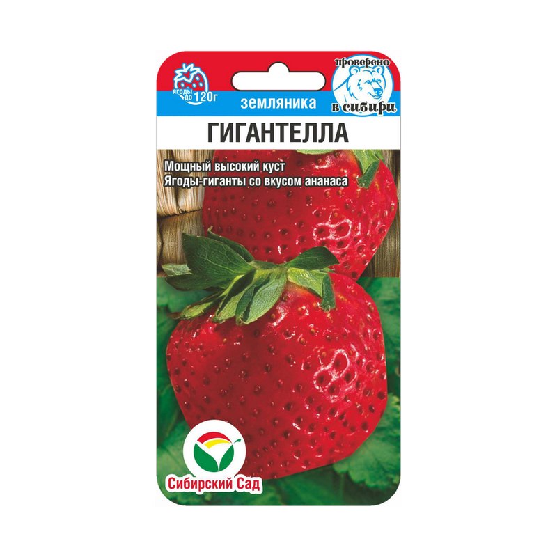 Земляника Гигантелла 10шт Сибирский сад