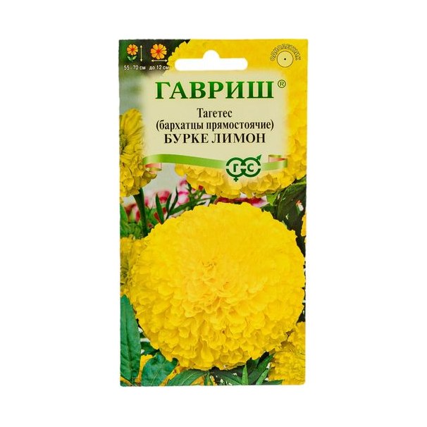 Бархатцы Буркле лимон прям. 0,3г гавриш