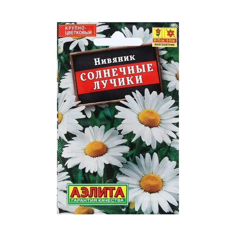 Нивяник Солнечные лучики