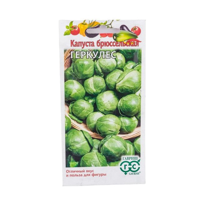 Капуста брюссельская Геркулес Гавриш