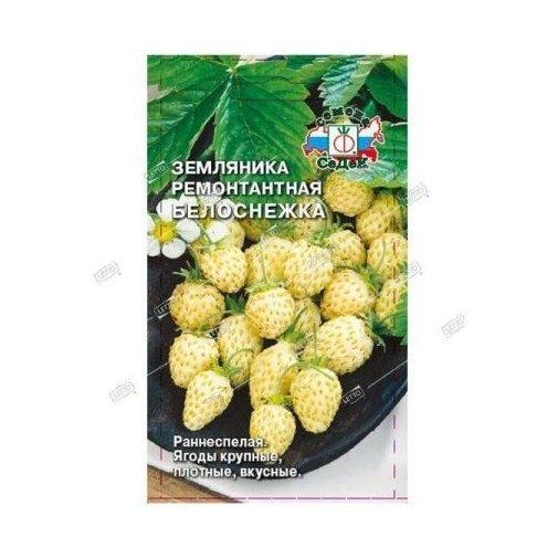 Земляника Белоснежка 0,04гр СеДеК