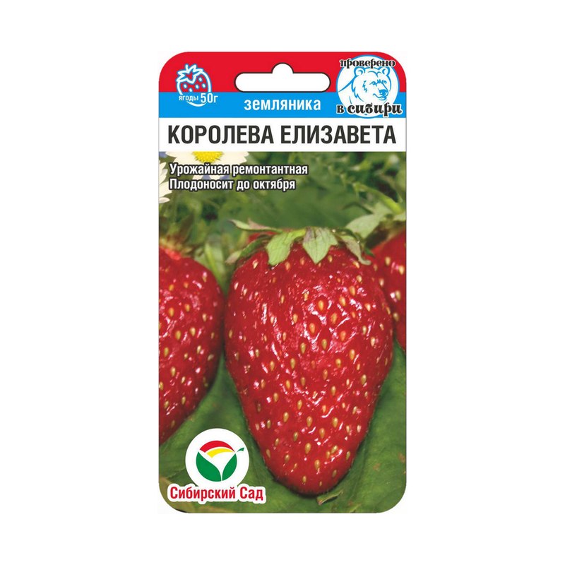 Земляника Королева Елизавета 10шт Сибирский сад