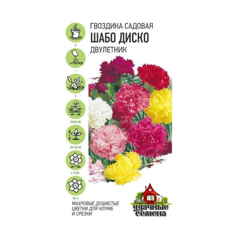 Гвоздика Шабо Диско смесь/Удачные семена 0,1гр ГШцветы