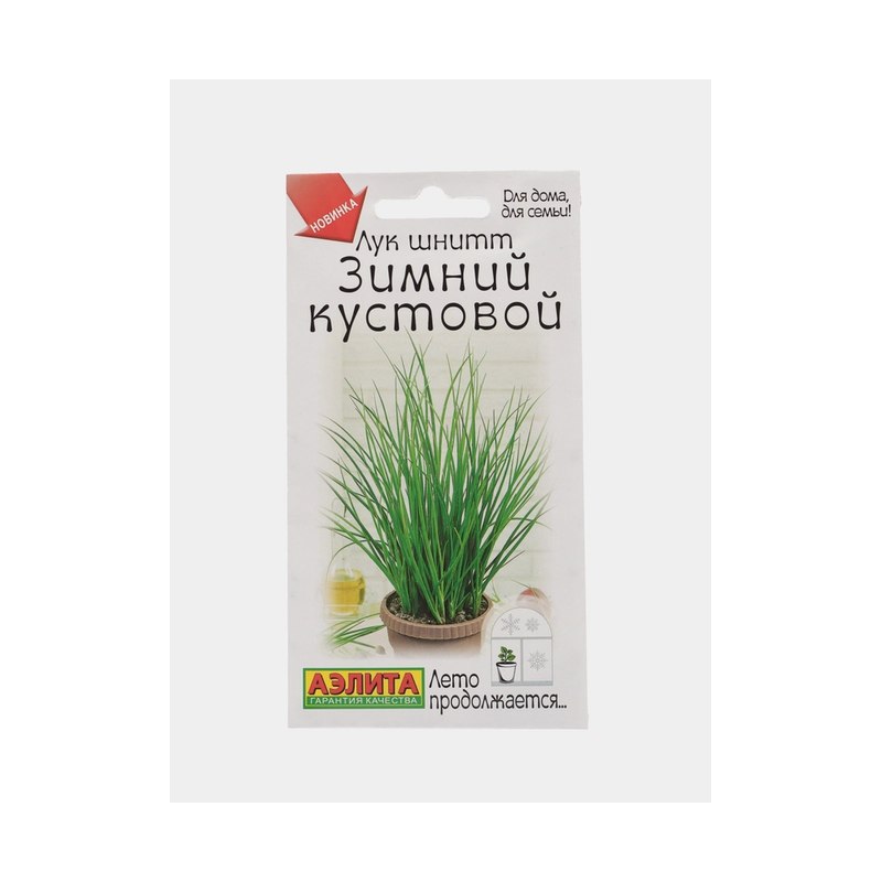 Лук шнитт зимний кустовой
