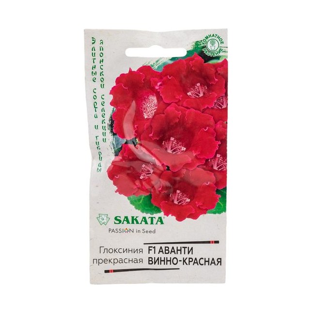 Глоксиния Аванти винно-красная4шт Саката