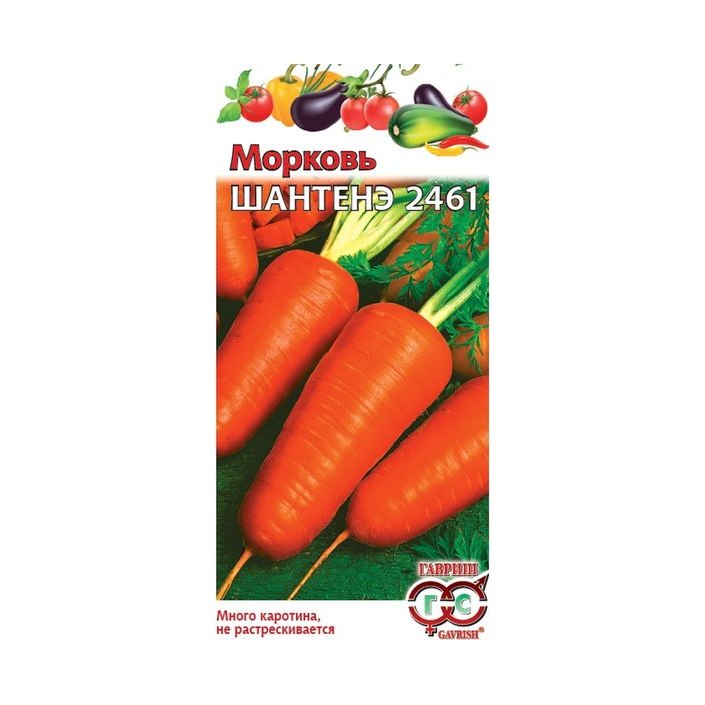 Морковь Шантенэ 2461 2гр Гавриш