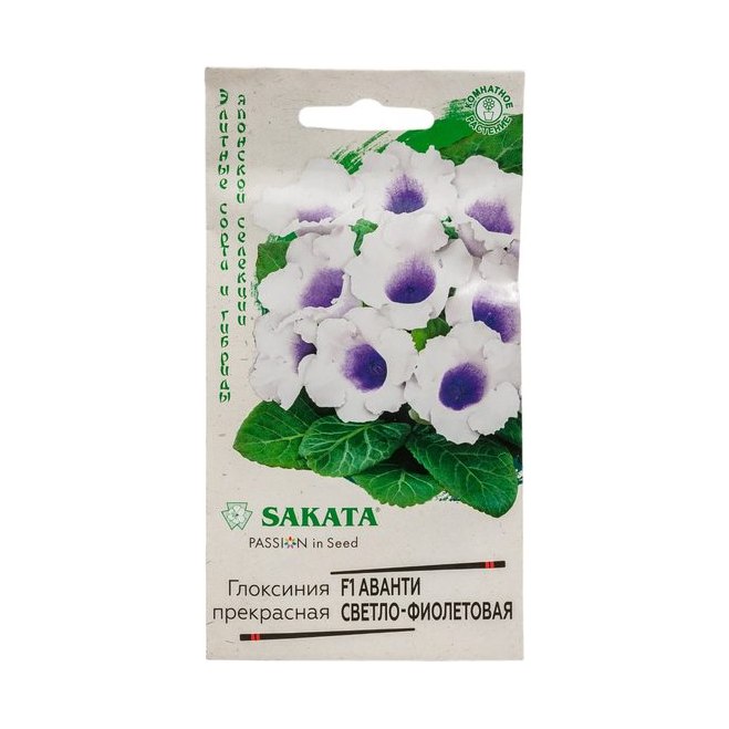 Глоксиния Аванти светло-фиолет 4шт Саката