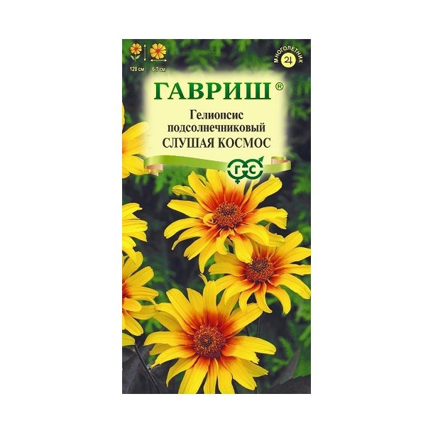 Гелиопсис подсолнечковый Слушая Космос