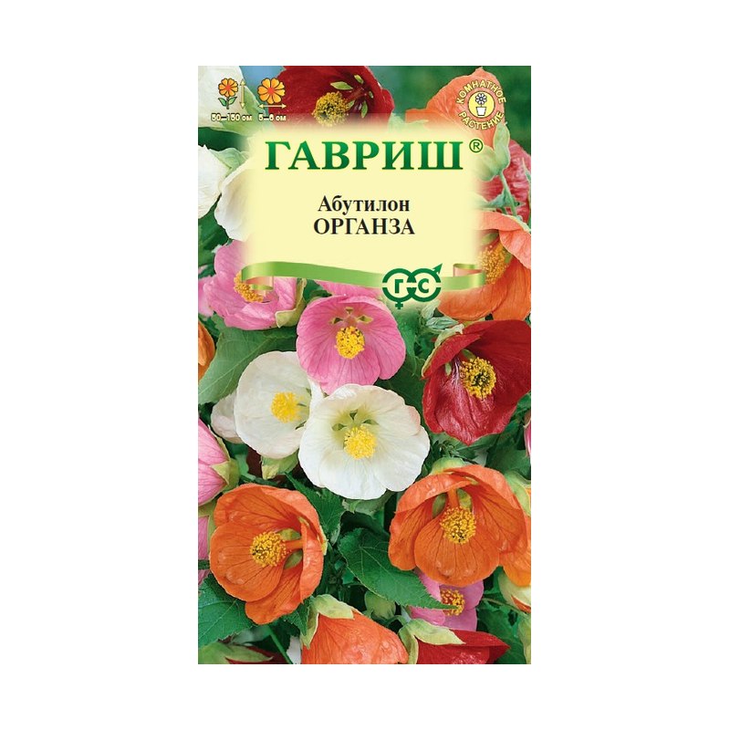 Абутилон Органза смесь 10шт