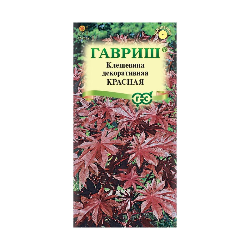 Клещевина красная 5шт
