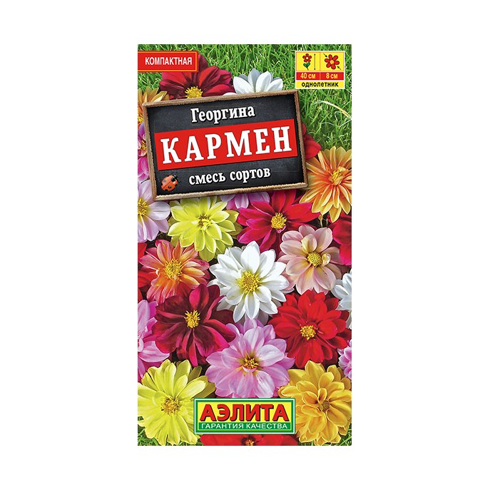 Георгина Кармен смесь 10шт
