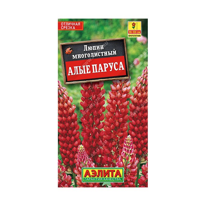 Люпин Алые паруса многолетний 0,5гр
