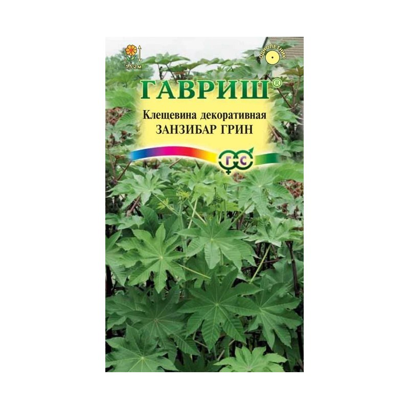Клещевина Занзибар Грин 5шт ГШцветы