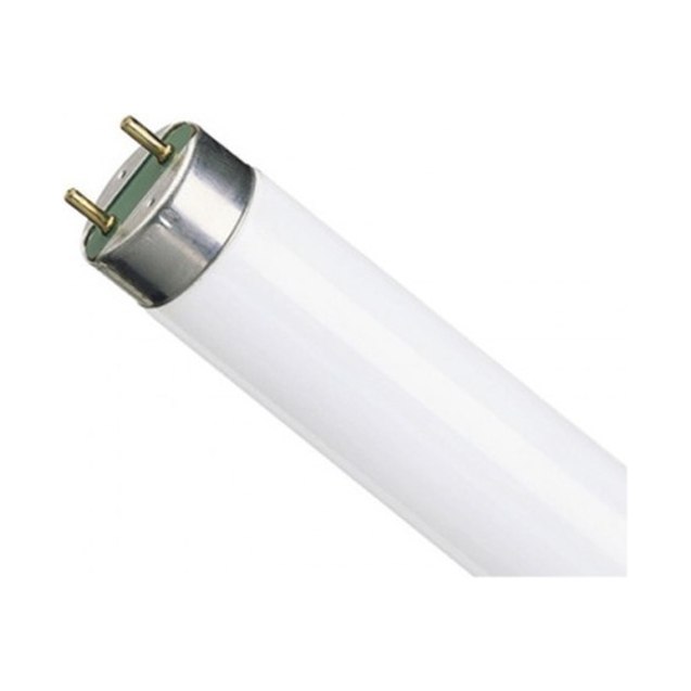 Лампа люминесцентная T8 Philips 4000К