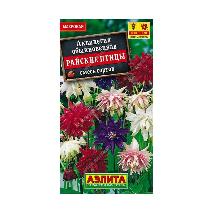 Аквилегия Райские птицы смесь махровая Аэлита