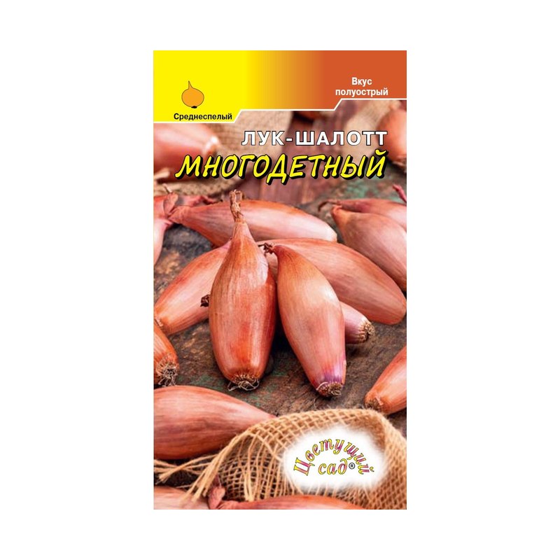 Лук шалот Многодетный 01,гр