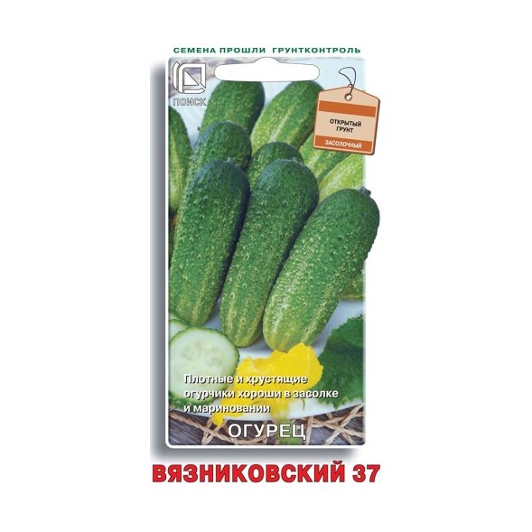 Огурец Вязниковский 37 15шт