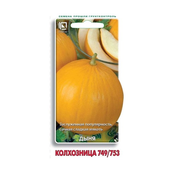 Дыня Колхозница 749