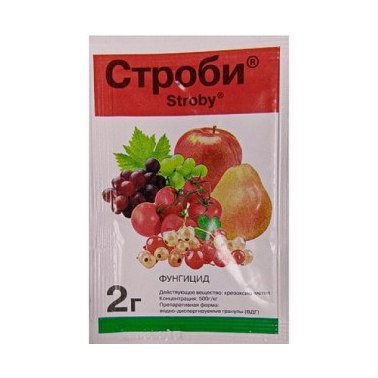 Фунгицид Строби (2г)