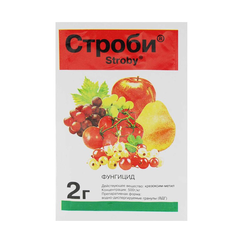 Строби 2г/кг фунгицид